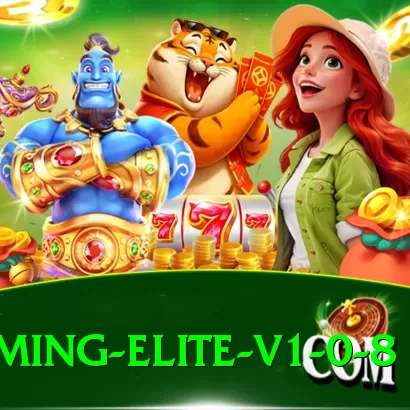 s55 Gaming Elite v1.0.8 - 2